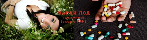 спиды Иннополис