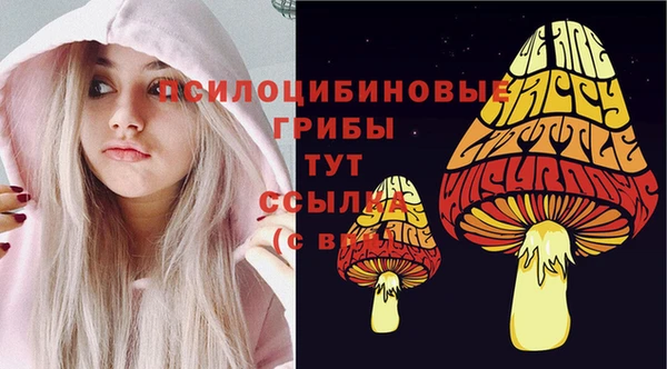 ALPHA PVP Инсар