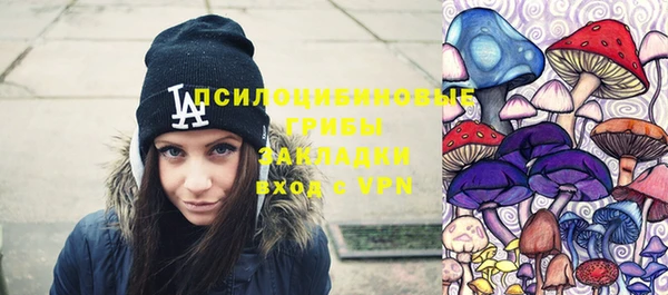 молекула духа Инта
