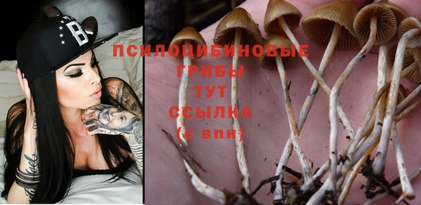 спиды Иннополис