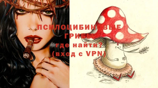 ALPHA PVP Инсар