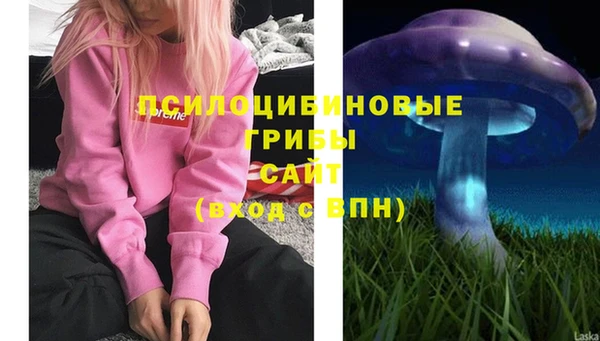 спиды Иннополис