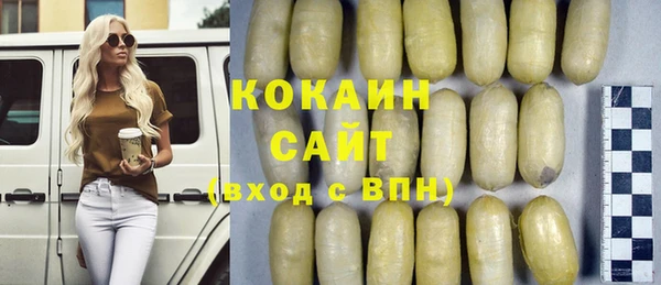 ALPHA PVP Инсар