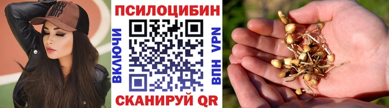блэк спрут ТОР  Новопавловск  Галлюциногенные грибы прущие грибы 