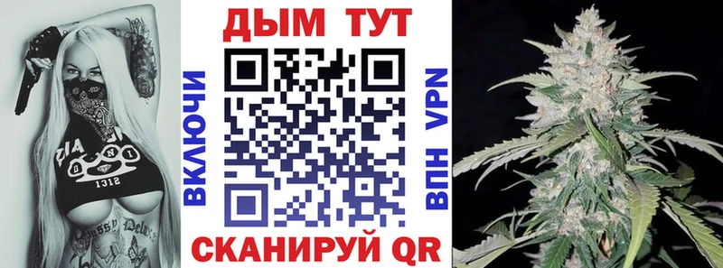 купить наркотик  Новопавловск  Конопля планчик 
